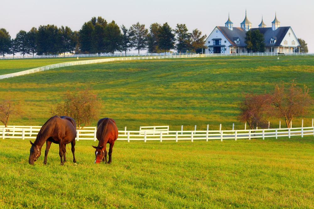 Here Are 6 Reasons To Choose Vinyl Agricultural Fencing 