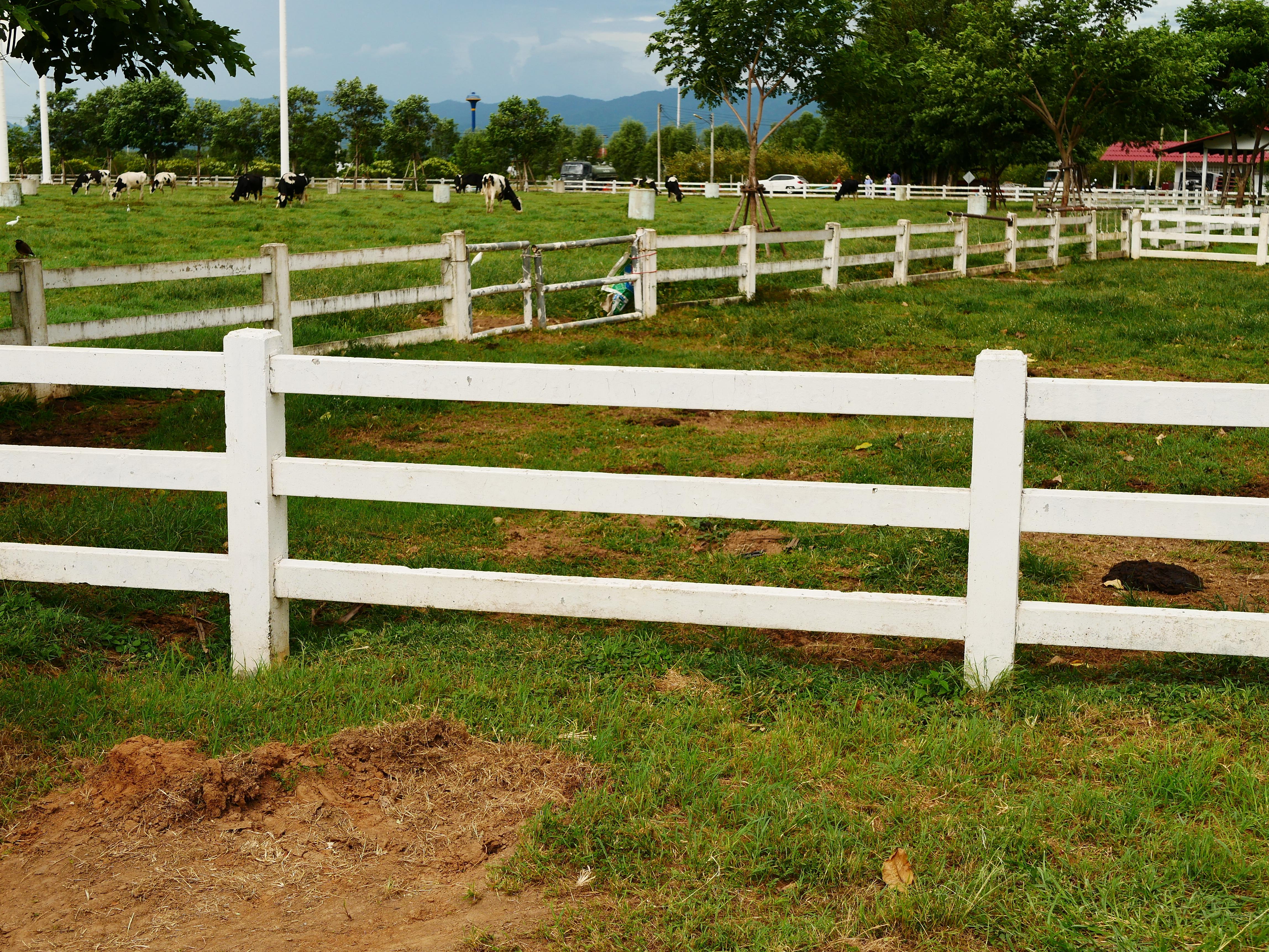 Here Are 6 Reasons To Choose Vinyl Agricultural Fencing 
