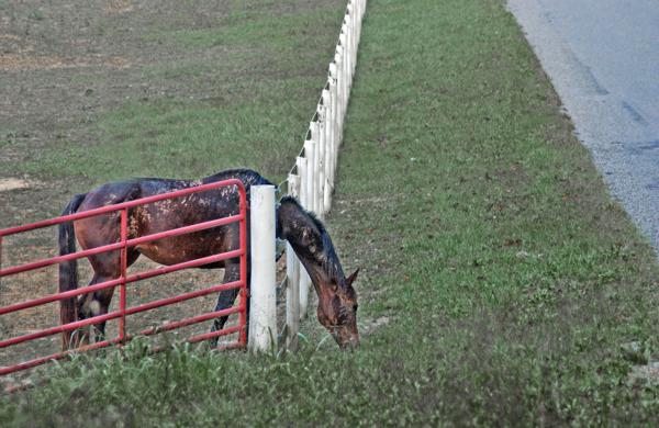 ranch fence installation