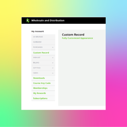 NetSuite Custom App