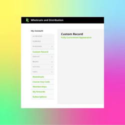 Custom record screenshot NetSuite Integration