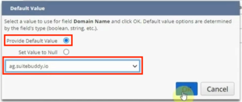 domain default value field mapping