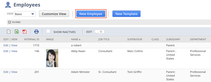NetSuite employee list new employee record