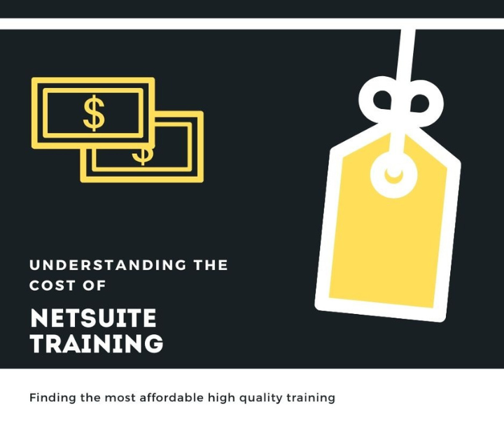 How much is NetSuite training graphic