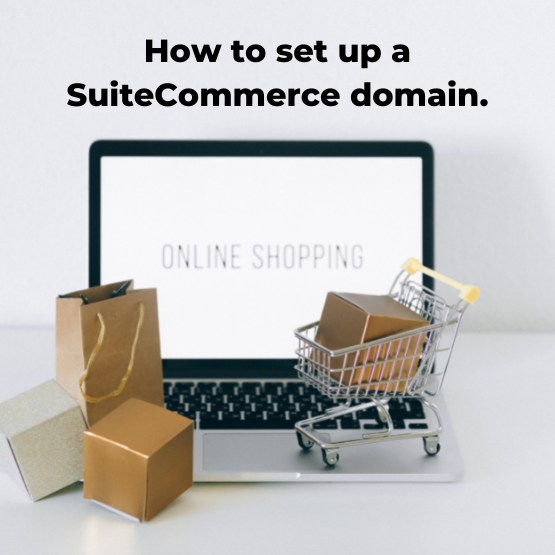 how to setup a suitecommerce domain