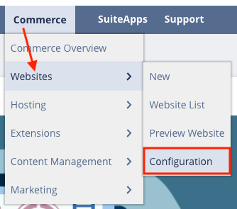 NetSuite Website Configuration Navigation