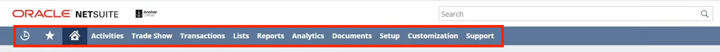 netsuite center tabbed page nevigation