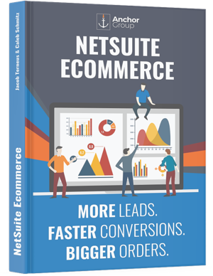 NetSuite Ecommerce Book