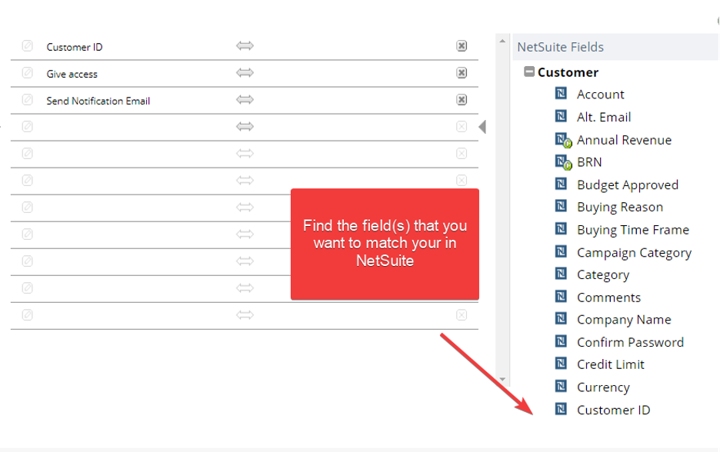 NetSuite Fields for CSV Mapping