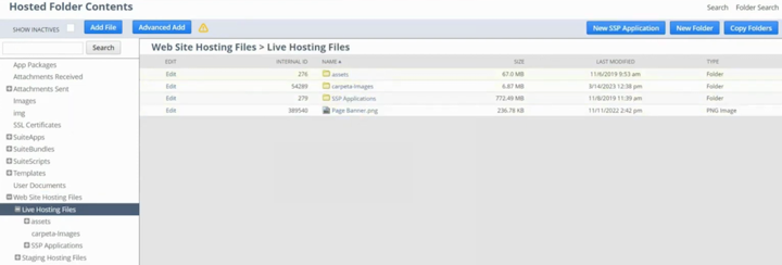 netsuite file cabinet live hosting files
