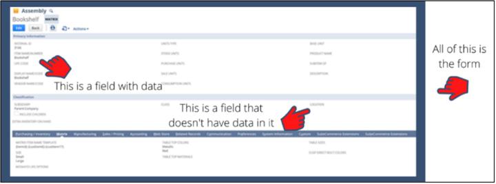 NetSuite Forms and Fields