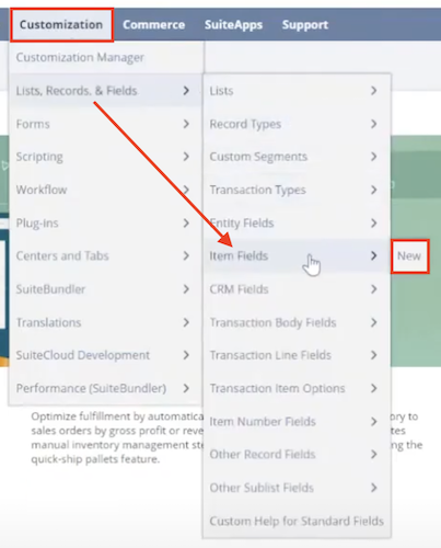 netsuite navigation customization lists records fields item fields new