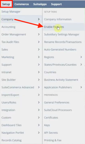 netsuite navigation setup company enable features