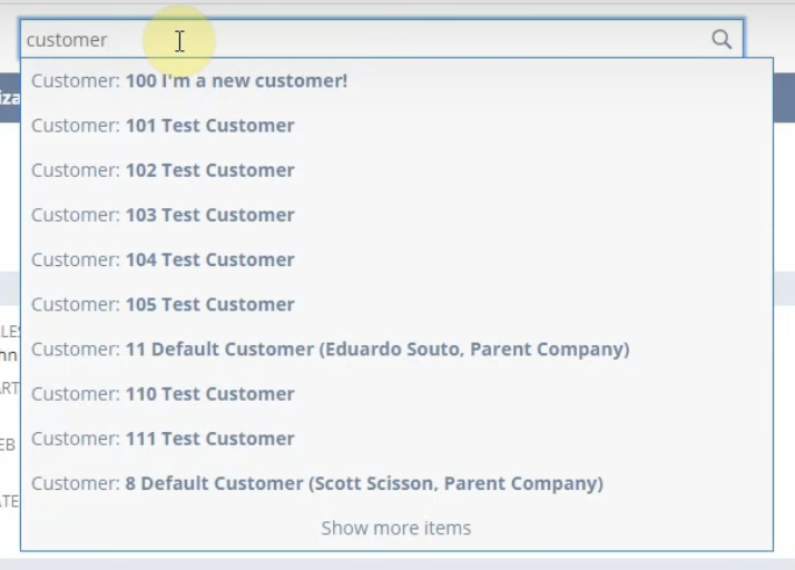 netsuite global search bar auto suggestions