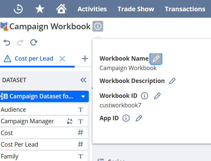 NetSuite workbook