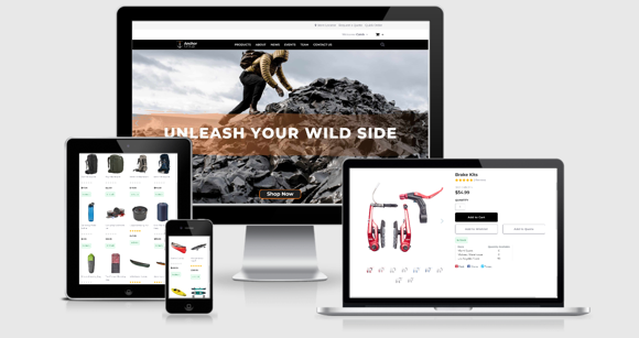 suitecommerce theme by anchorgroup developers
