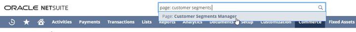 page: Customer Segments Manager