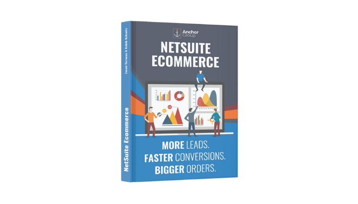 NetSuite Ecommerce Book