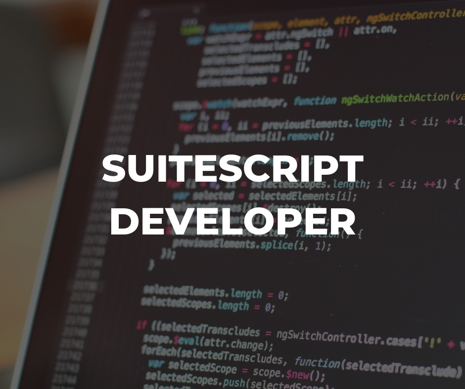 suitescript developer training