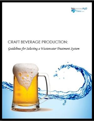 Craft Beverage Production