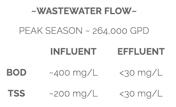 What causes an overloaded wastewater system?