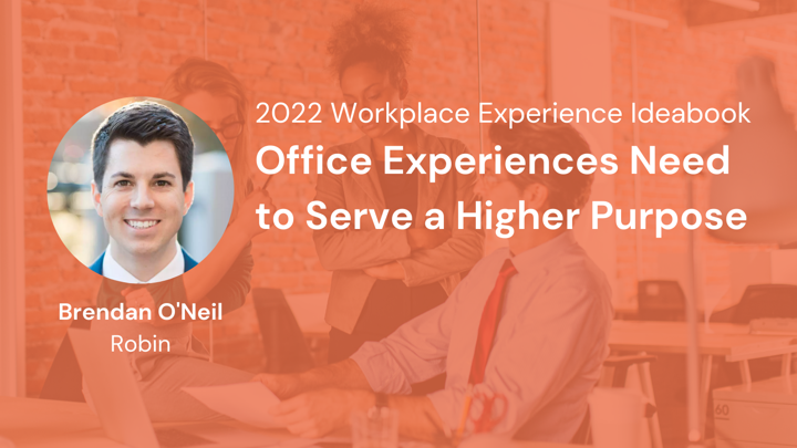 Work Experience Ideabook, Brendan O'Neil