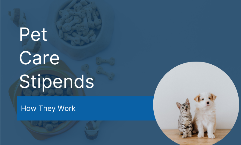 Pet Care Stipends for Employees How They Work Compt