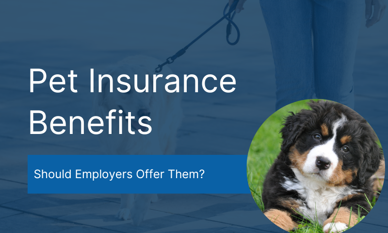 Should Employers Offer a Pet Insurance Employee Benefit? 