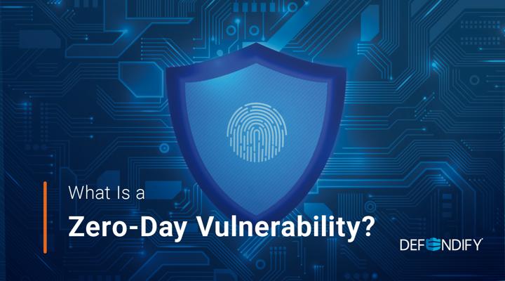 What Does a Zero-day Vulnerability Mean and How to Stay Protected? 