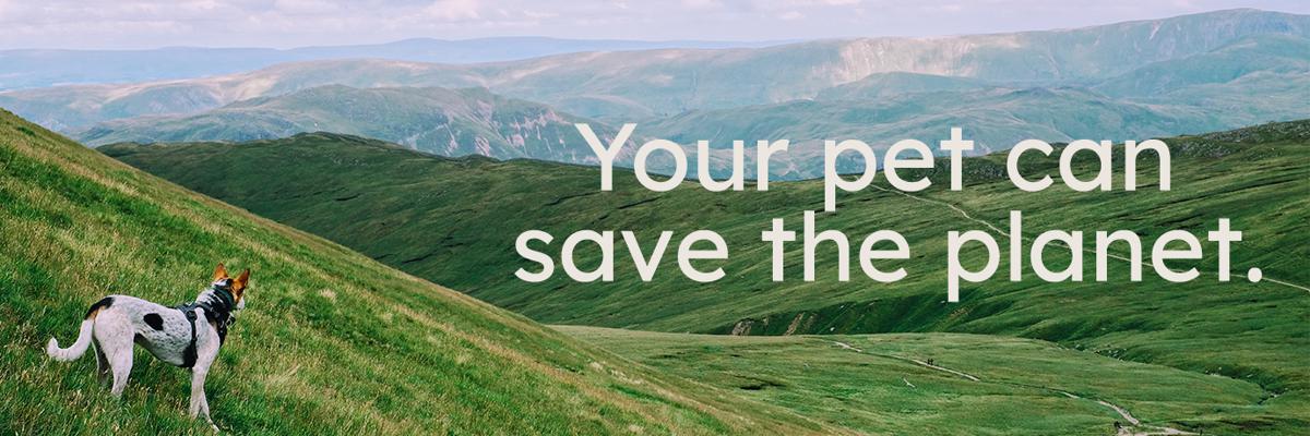 Your Pet can save the planet banner and a dog in the field