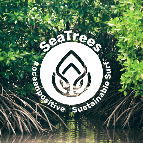 SeaTrees logo on mangrove forest photo
