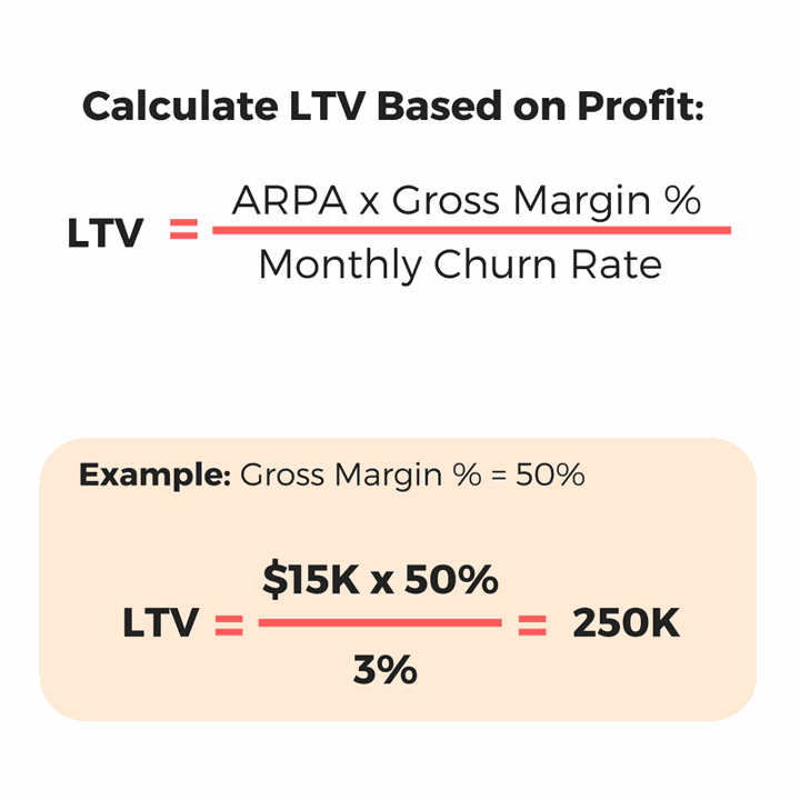 LTV Based on Profit