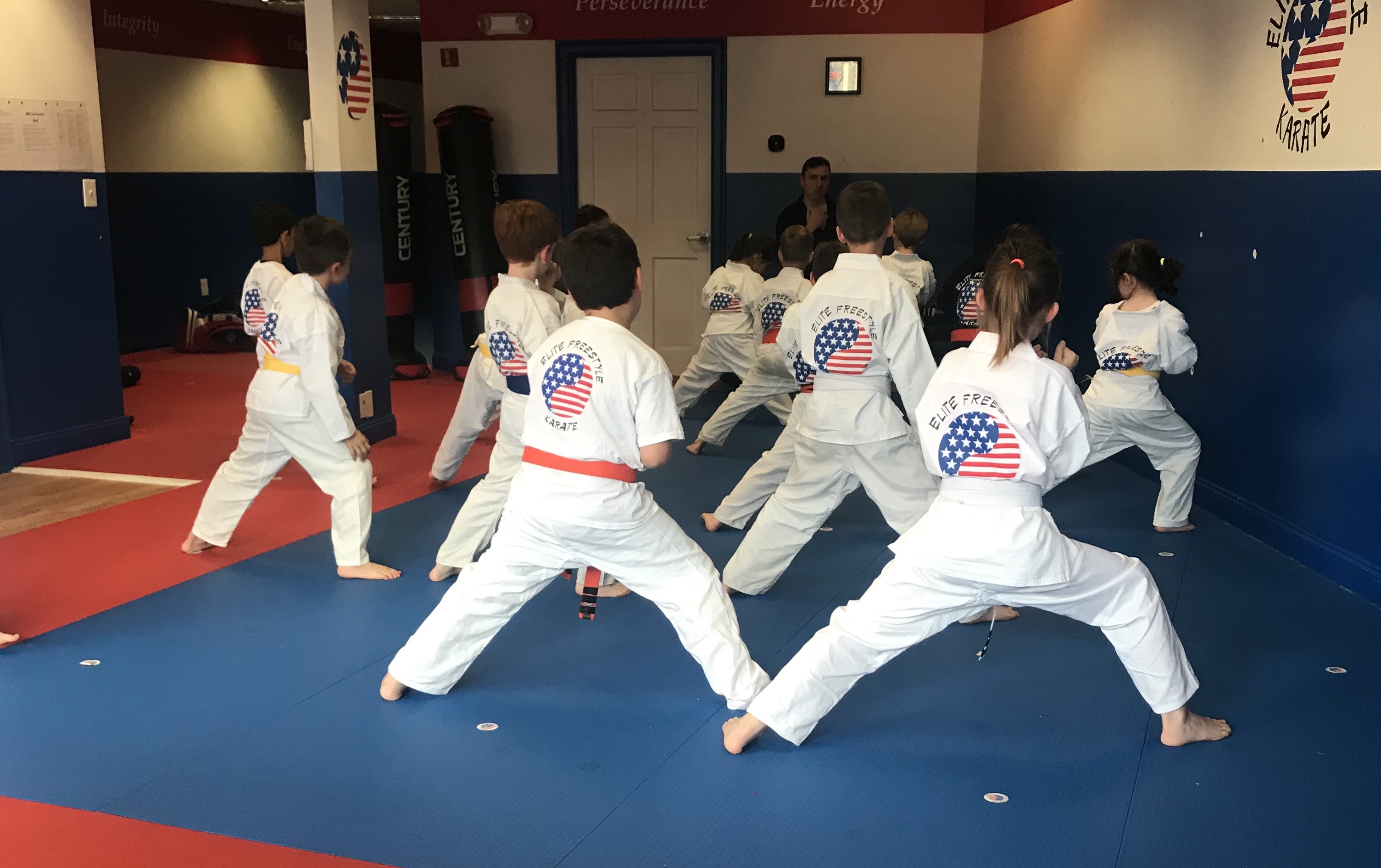 The Best Upsell Ever: Elite Freestyle Karate