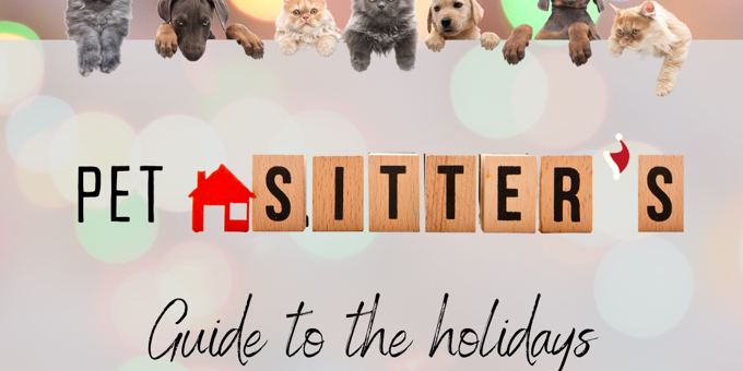 A Pet Sitter’s Guide to Navigating the Holiday Season