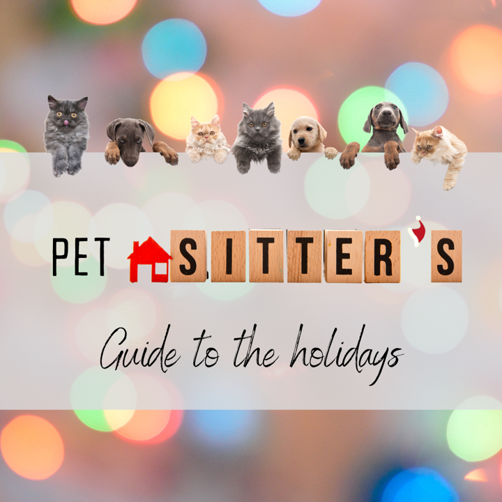 A Pet Sitter's Guide to the Holidays