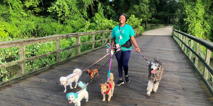 Everyone deserves a second chance: Client spotlight with Simone, Owner of A Dog's Behavior