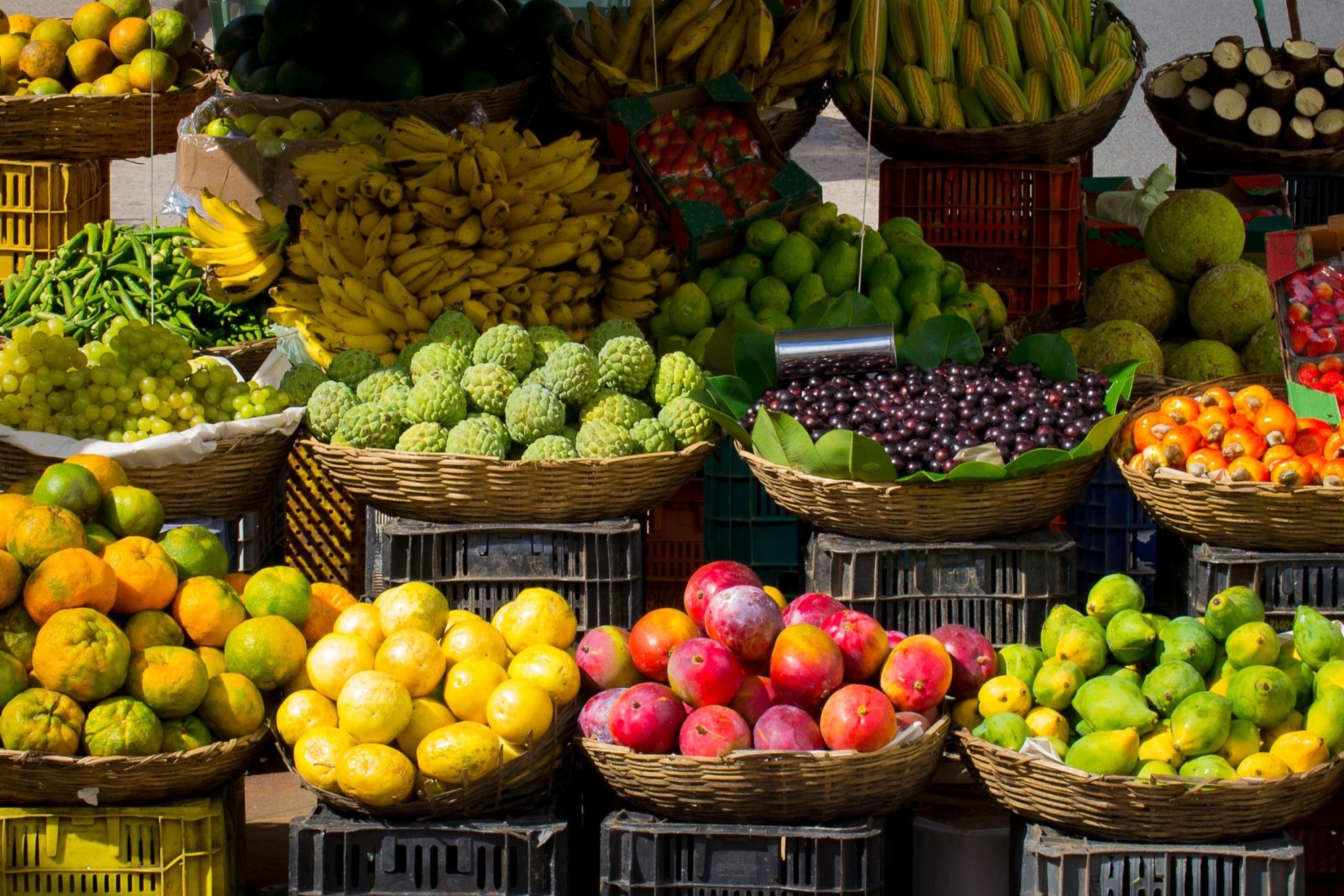 The Health Benefits of Farm Fresh Food 