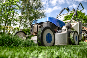 Hiring for Landscapers 3 Easy Ways to Find Lawn Care Employees
