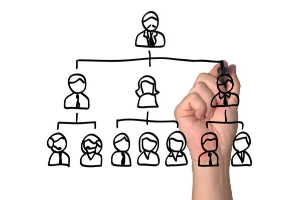 Organizational Structure: the Predecessor to Growth