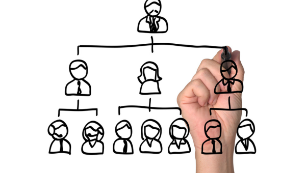 Organizational Structure: the Predecessor to Growth