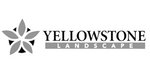 Team Engine Customer - Yellowstone Landscape