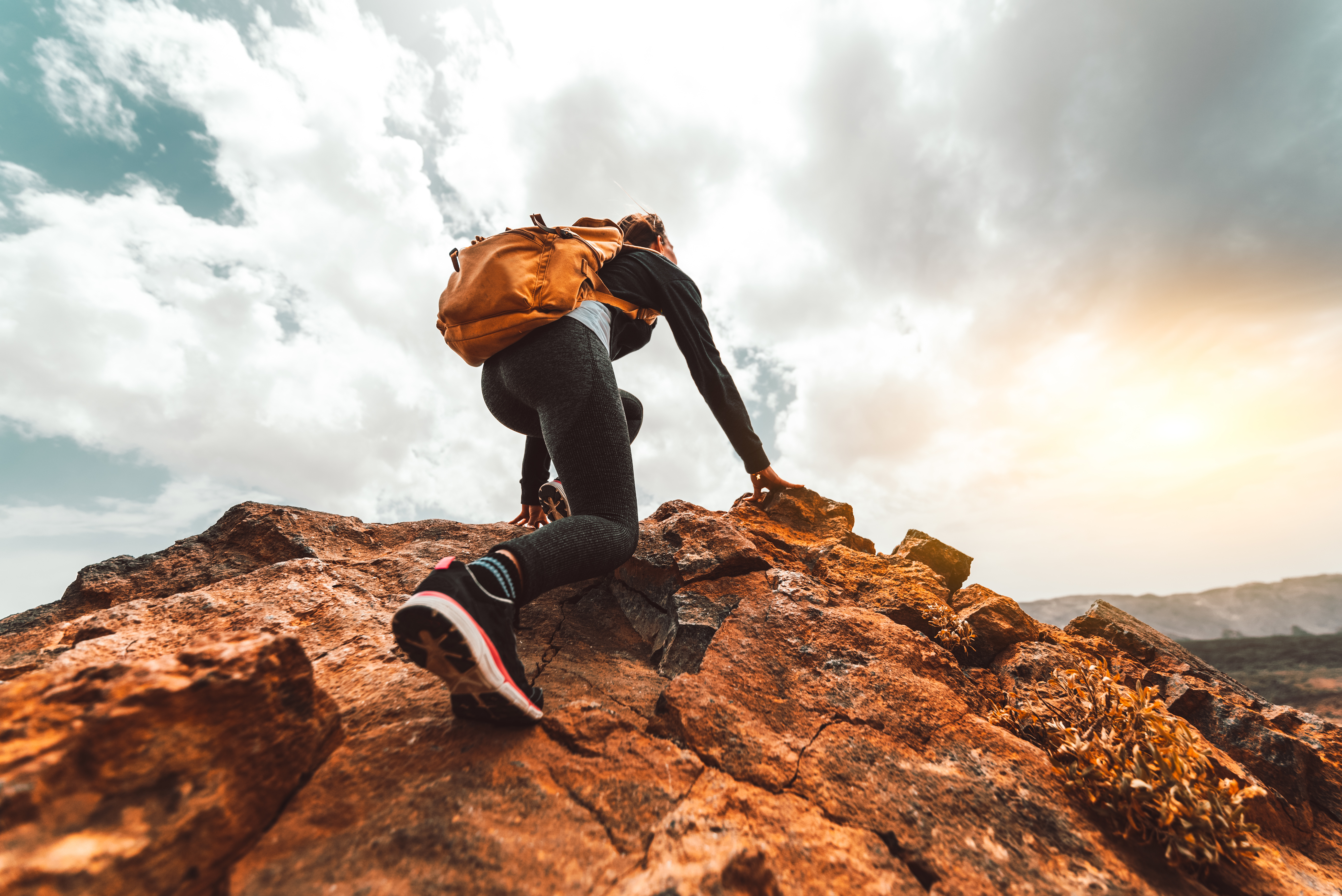 Top Life Coaching Resources