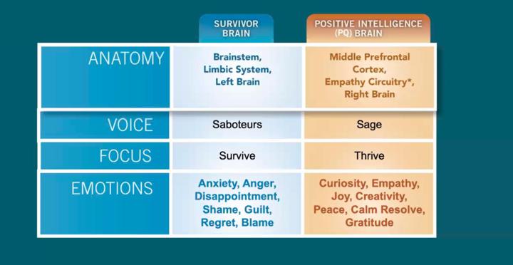 sage vs saboteur brain