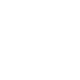 Birthday/Holiday icon