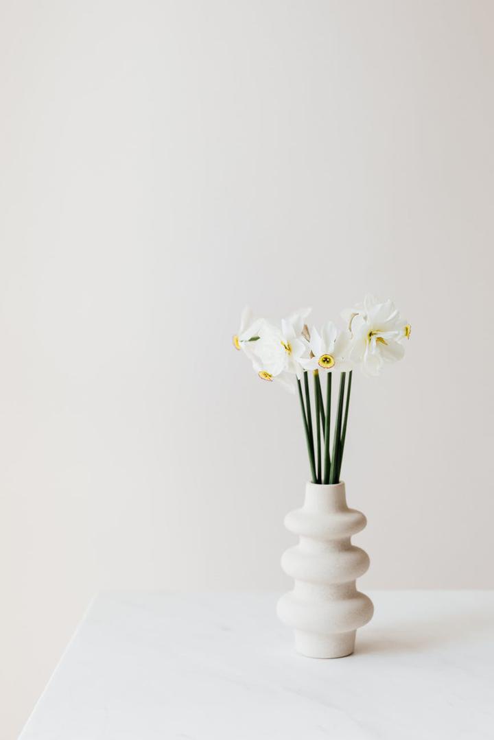 daffodils in vase