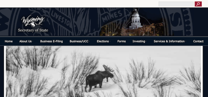 llc vs c corp filing example on wyoming website