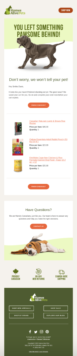 Screenshot of an abandon cart email sent by Homes Alive Pets
