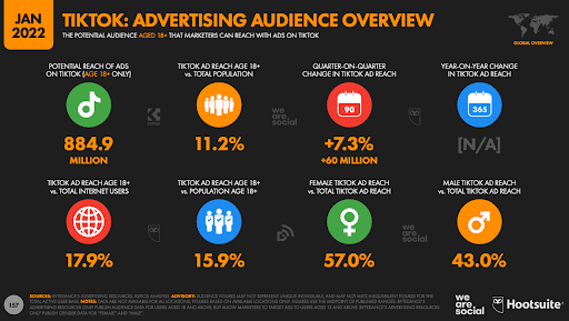 TikTok Advertising Audience Overview