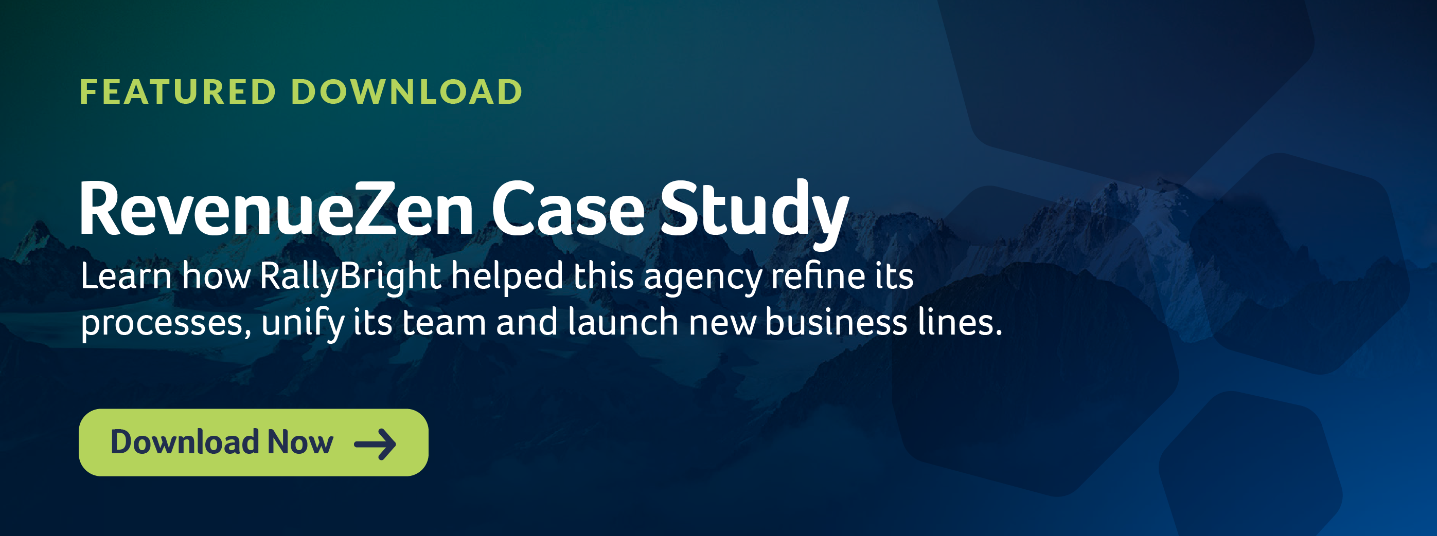 RevenueZen Case Study