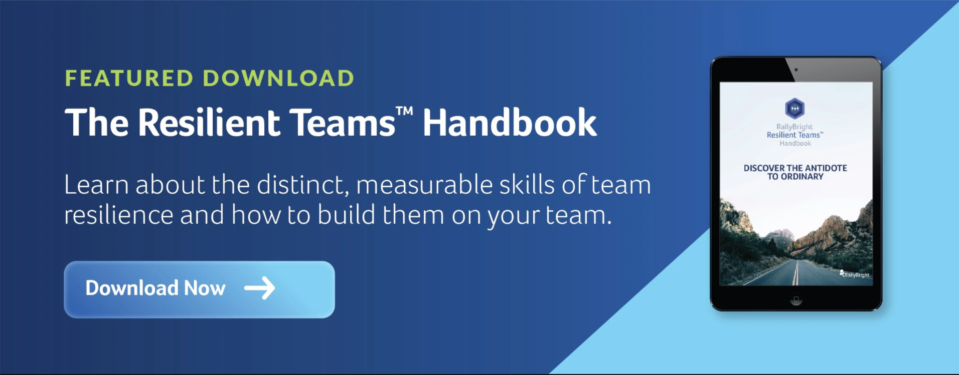 Team Success Playbook